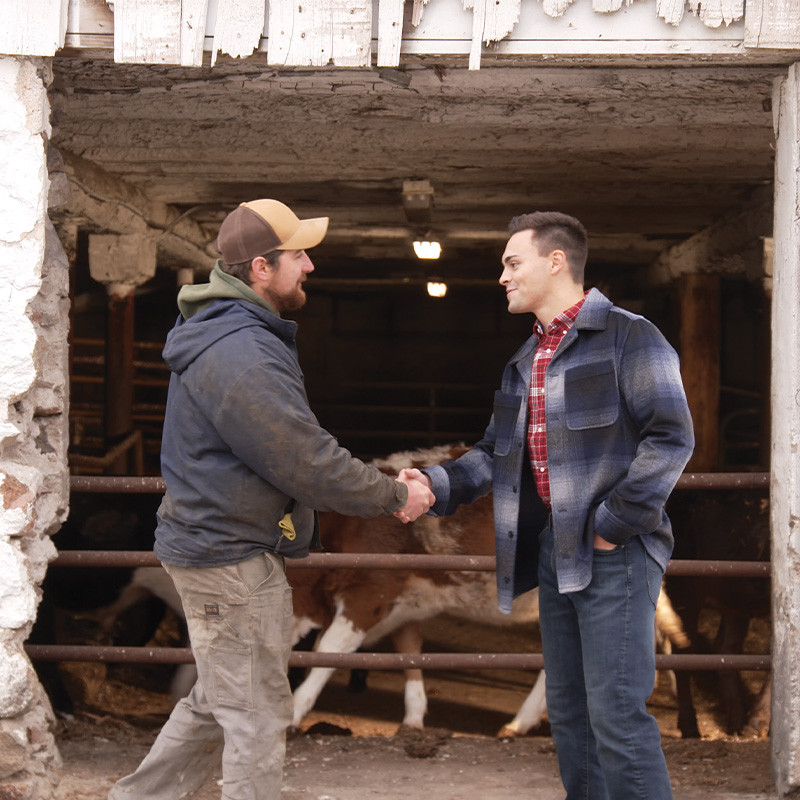 Michael Alfonso shaking hands with a farmer near the cattle